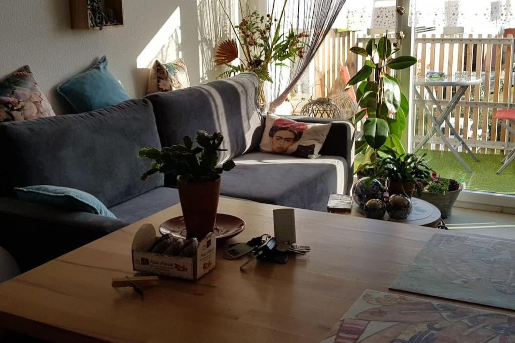 לה-טסט-דה-בוש Appartement Complet Et Parking Protege מראה חיצוני תמונה