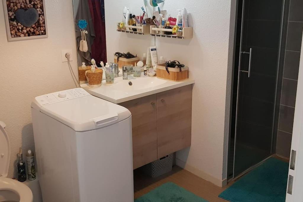 לה-טסט-דה-בוש Appartement Complet Et Parking Protege מראה חיצוני תמונה
